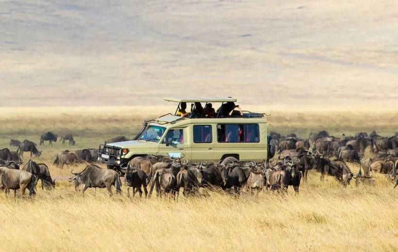 Africa’s Big 5 on a Serengeti & Ngorongoro Safari